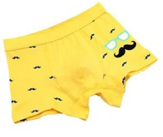 بوائے انڈرویئر باکسر۔