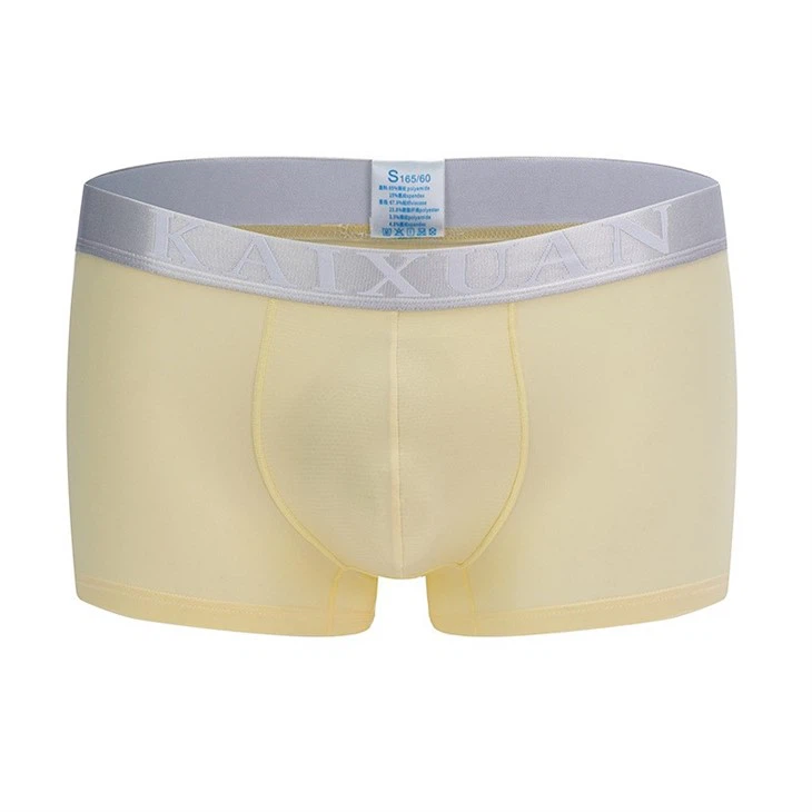 Men's Ice Silk Mesh Underwear Breathable Boxer Briefs